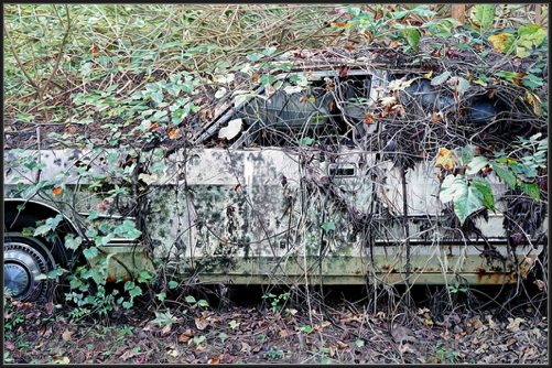 Lincoln Mercury (2026)
91 x 61 cm
oil on linen